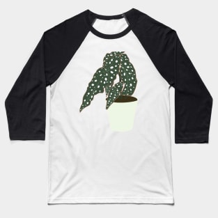 Begonia Maculata Plant – Mint Pot Baseball T-Shirt